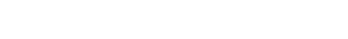 light logo